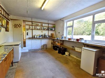 Picture 23